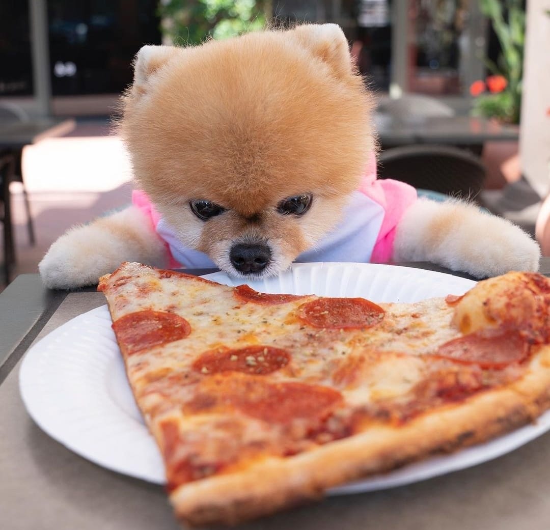 Giornata mondiale del cane