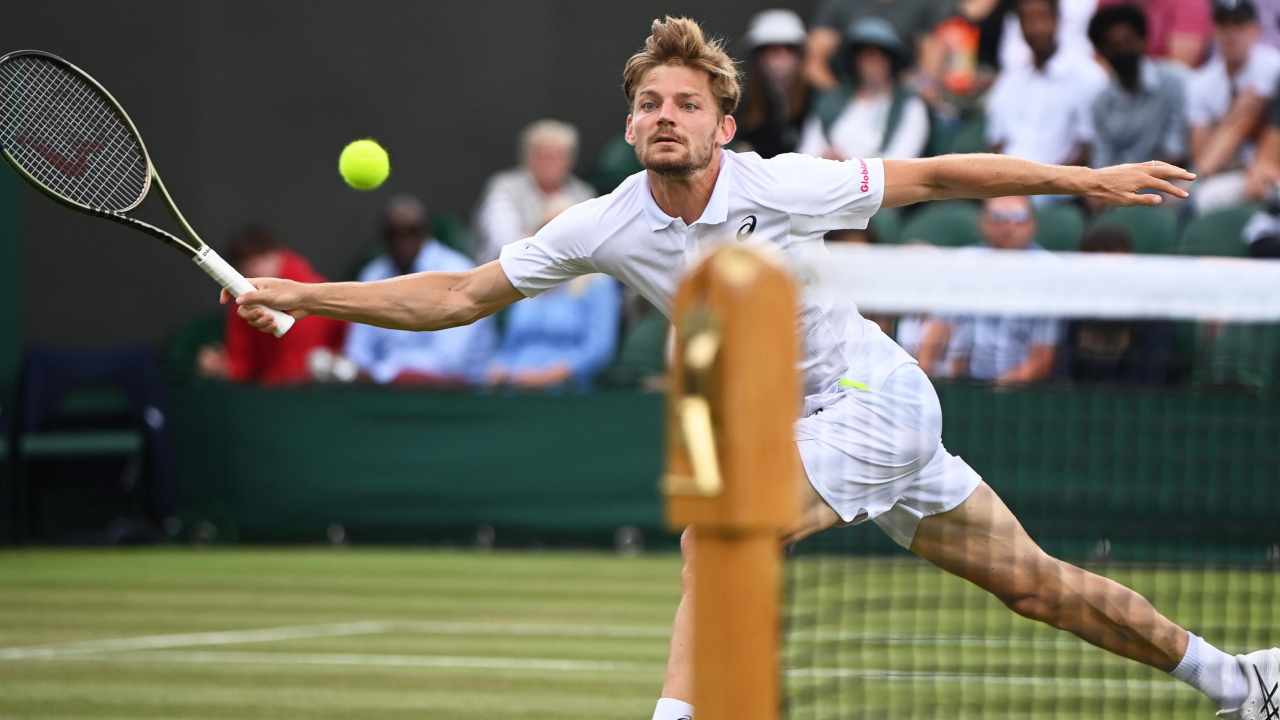 Goffin-Norrie