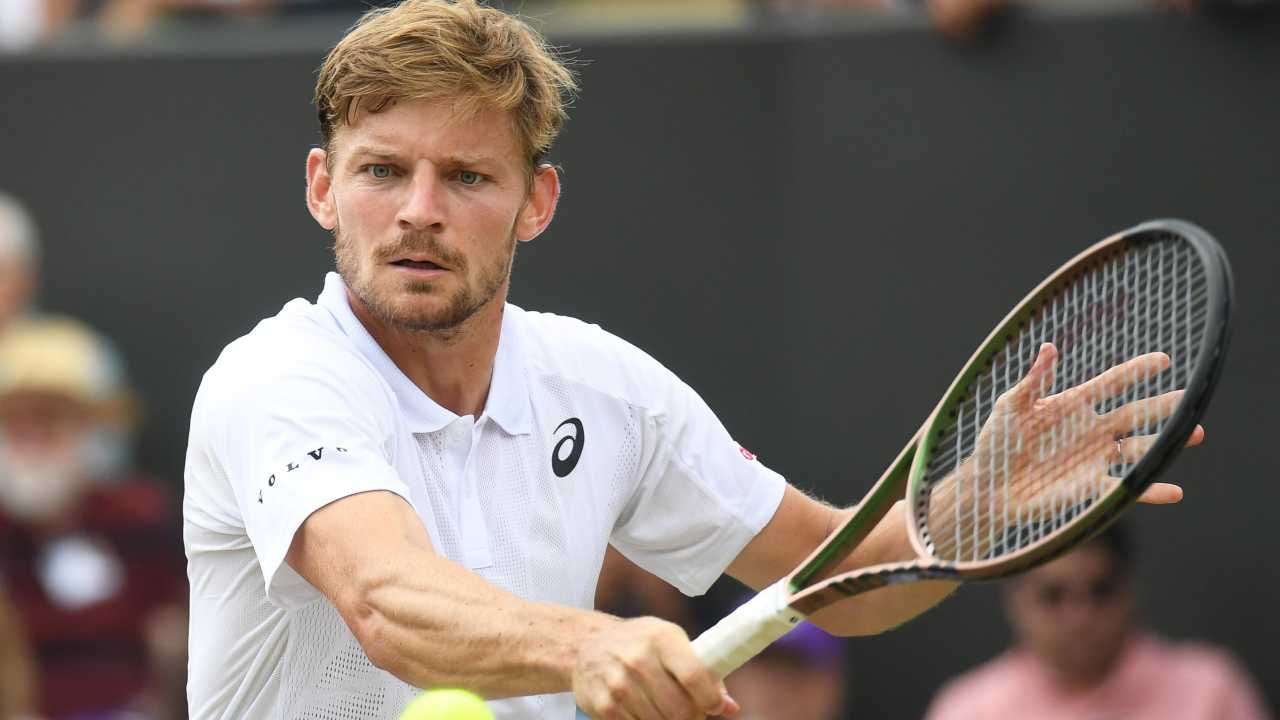 Goffin-Musetti
