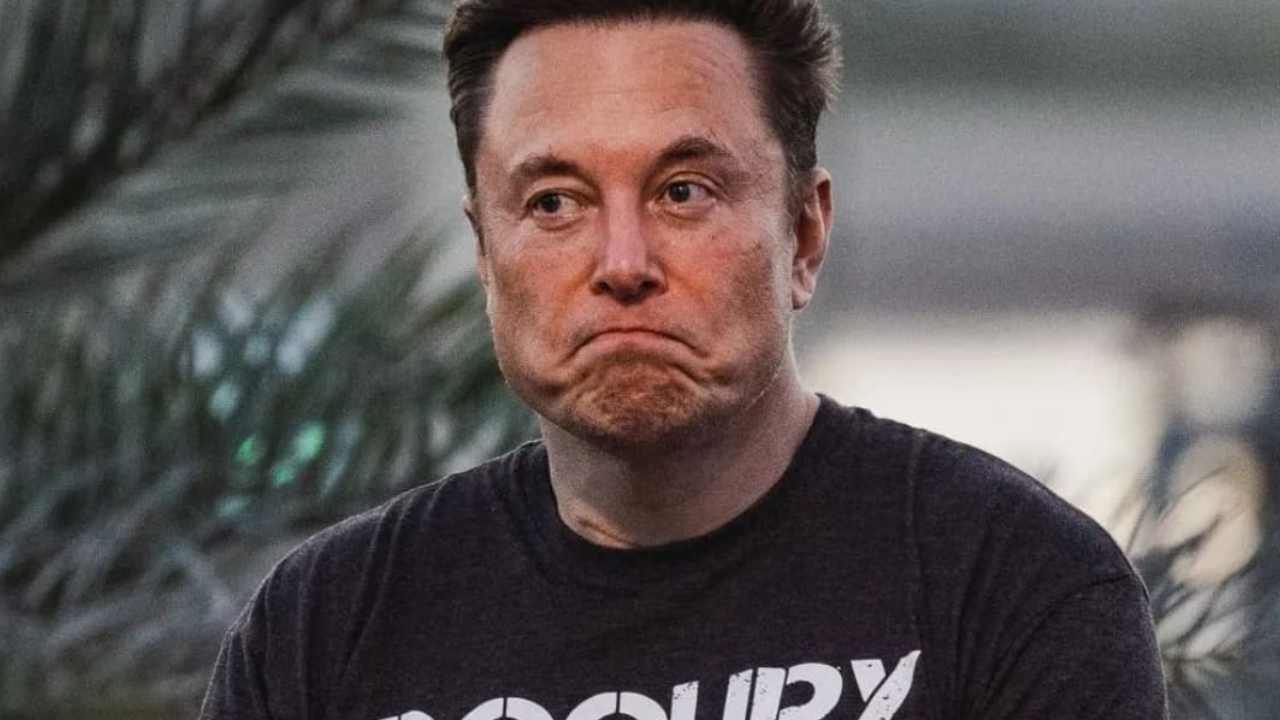 Twitter a pagamento da novembre: "terremoto" Elon Musk