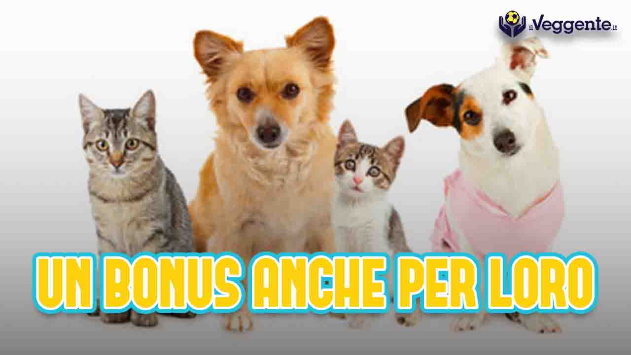 Bonus animali domestici, assegni in arrivo: fino a 900 euro per te