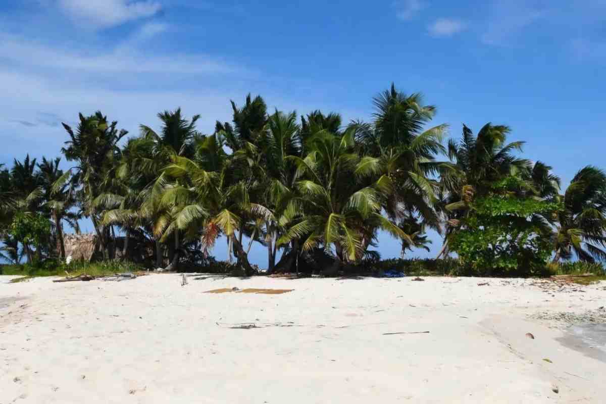 Isola dei famosi, come volevasi dimostrare: c'è un già un vincitore