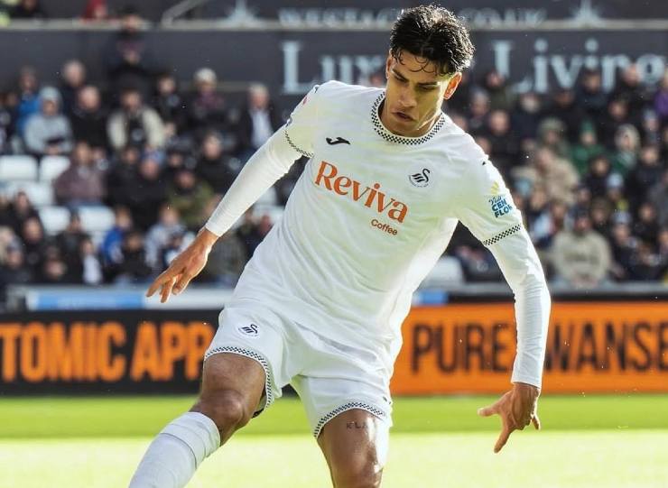 Stamenic dello Swansea