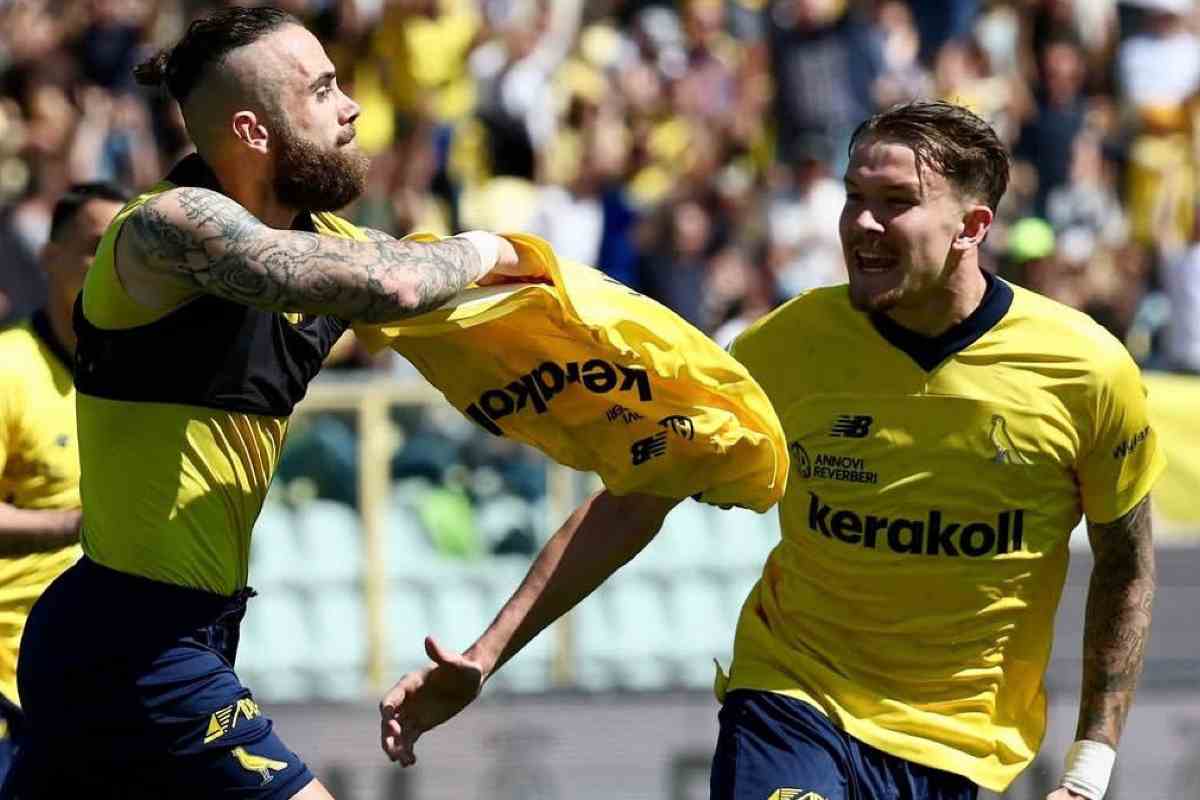 Zampano del Modena
