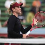 Vekic