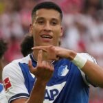 Daghim dell'Hoffenheim